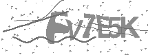 visual captcha